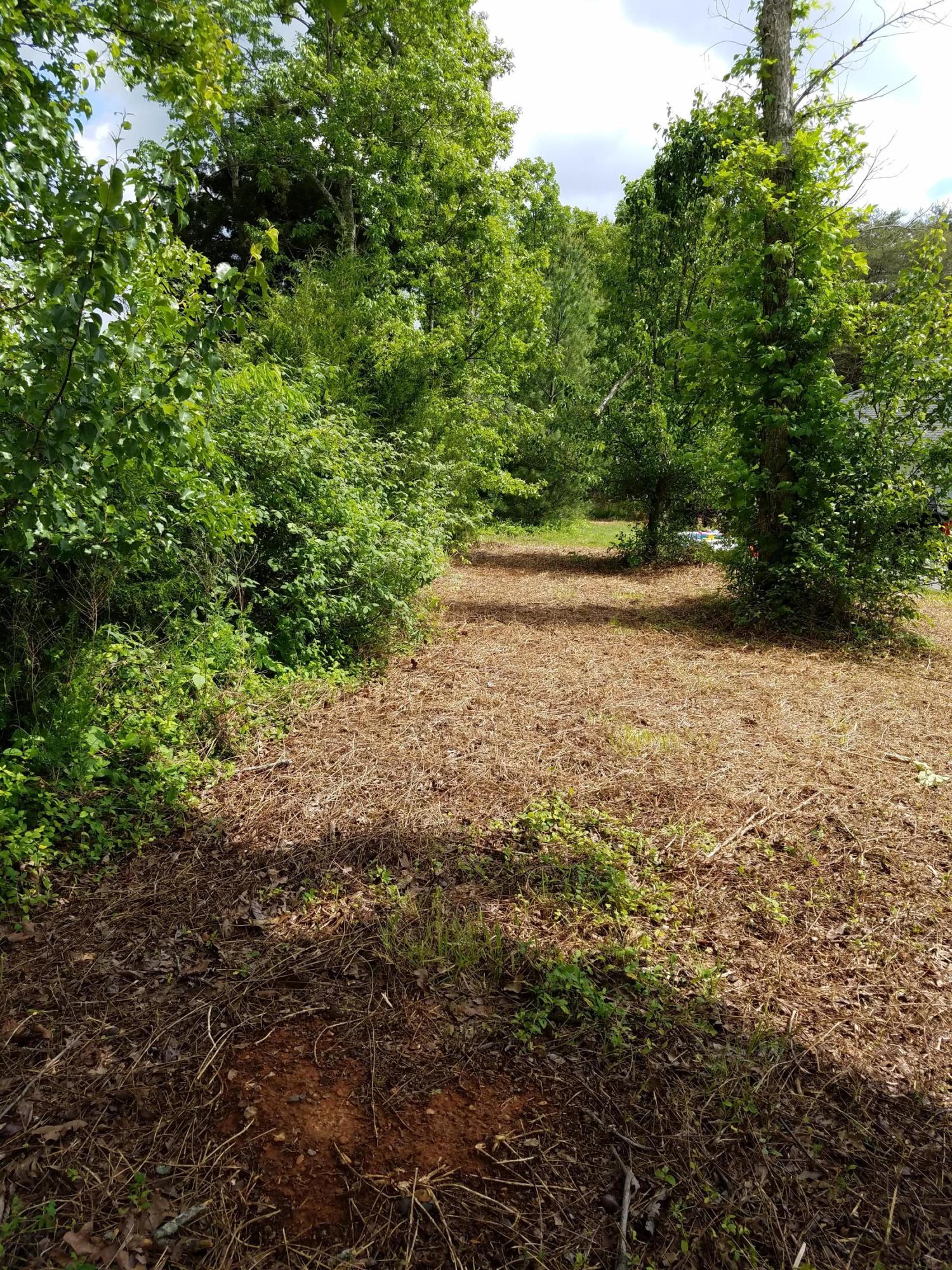 0 Pin Hook Road Spring City, TN 37381 - Photo 5 of 9 20160503_121314