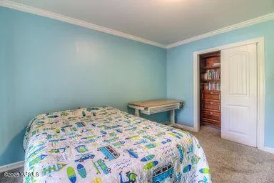 a bedroom with a bed and a closet