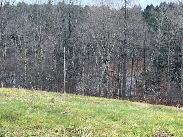 469 D McNall Road, Unit D Fairfax, VT 05454 - Photo 4 of 6