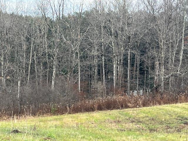 469 D McNall Road, Unit D Fairfax, VT 05454 - Photo 5 of 6