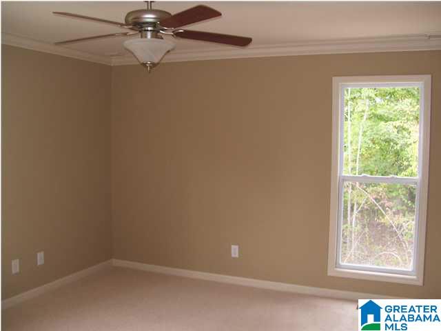 55 Fallview Court Odenville, AL 35120 - Photo 14 of 20