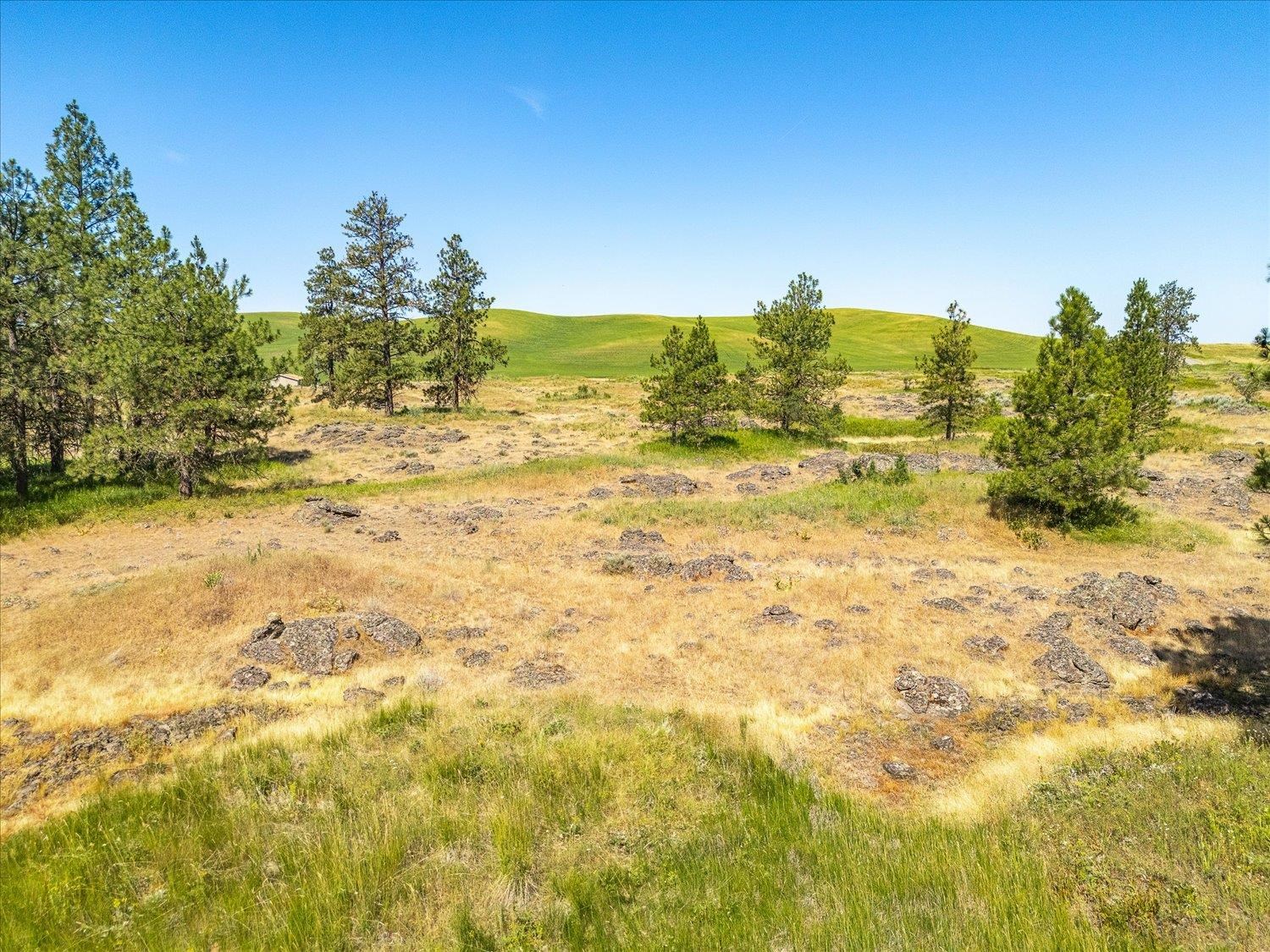 -xxx Blomgren Road East Edwall, WA 99008 - Photo 4 of 18