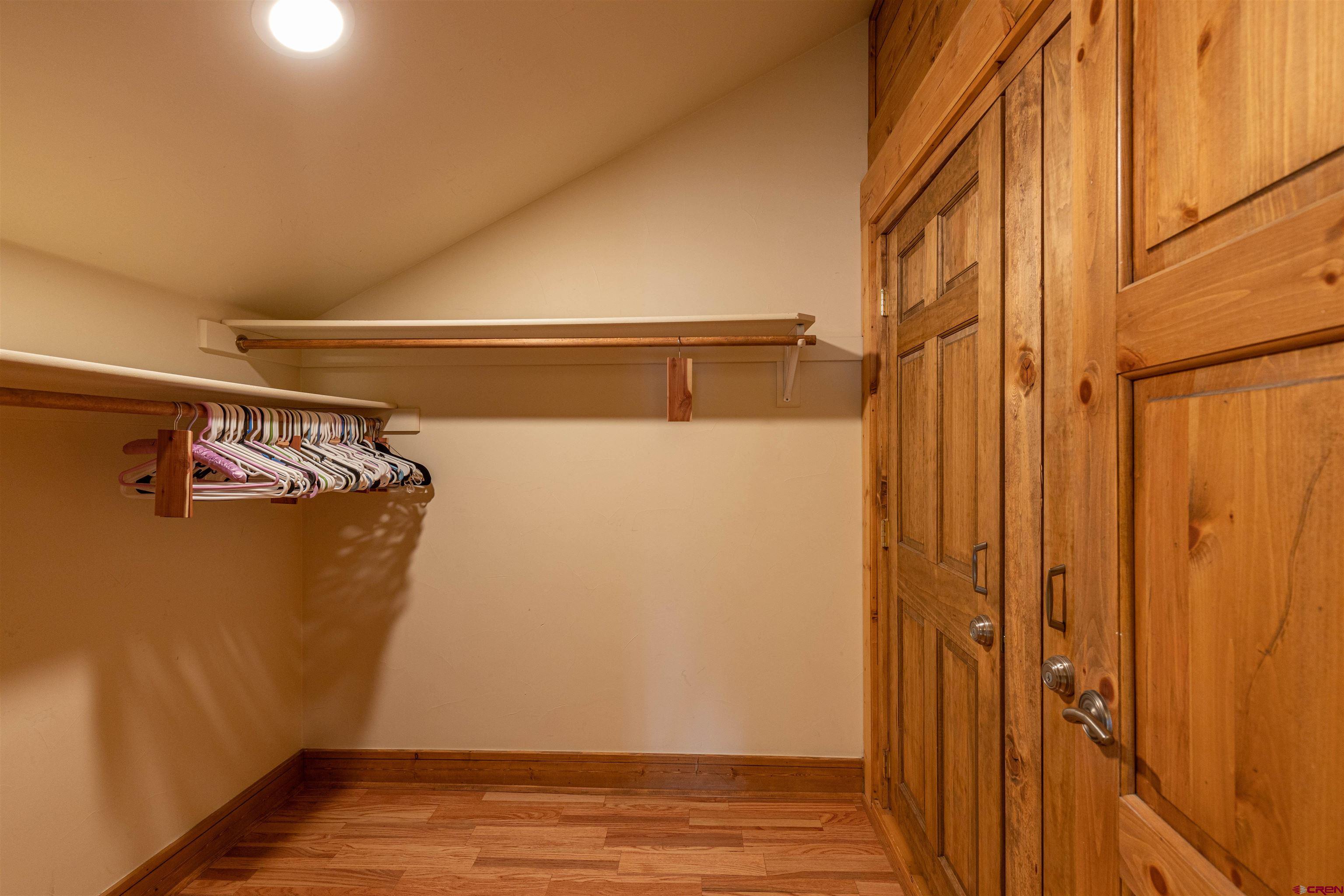 9 Hunter Hill Road, Unit 301 Crested Butte, CO 81225 - Photo 28 of 44 a view of walk in closet with clothes and shoes
