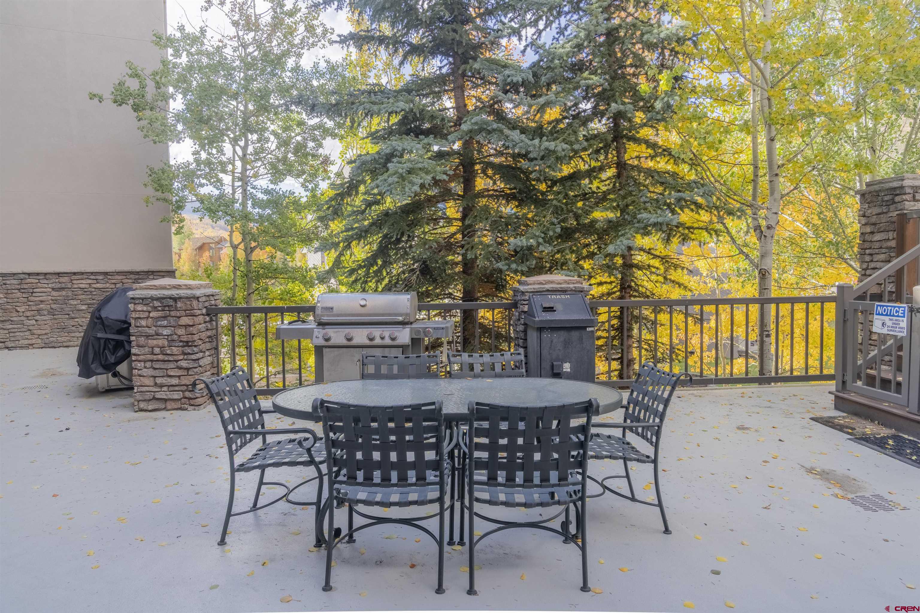 9 Hunter Hill Road, Unit 301 Crested Butte, CO 81225 - Photo 38 of 44 a view of a roof deck with table and chairs and potted plants