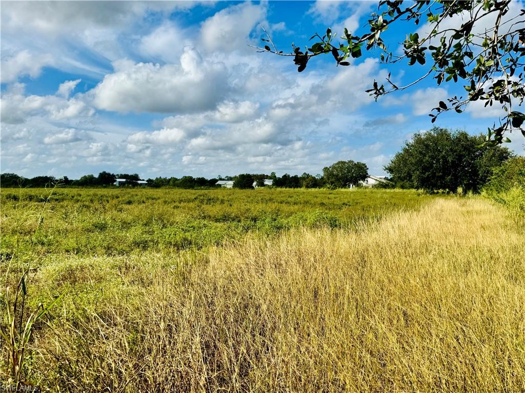 3400 Packinghouse Road Alva, FL 33920 - Photo 1 of 8 a view of a lake from a yard