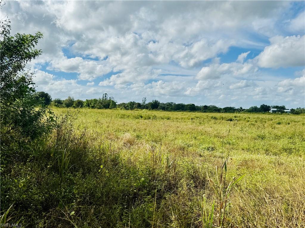 3400 Packinghouse Road Alva, FL 33920 - Photo 5 of 8 a view of a pathway both side of grassy field with trees in background