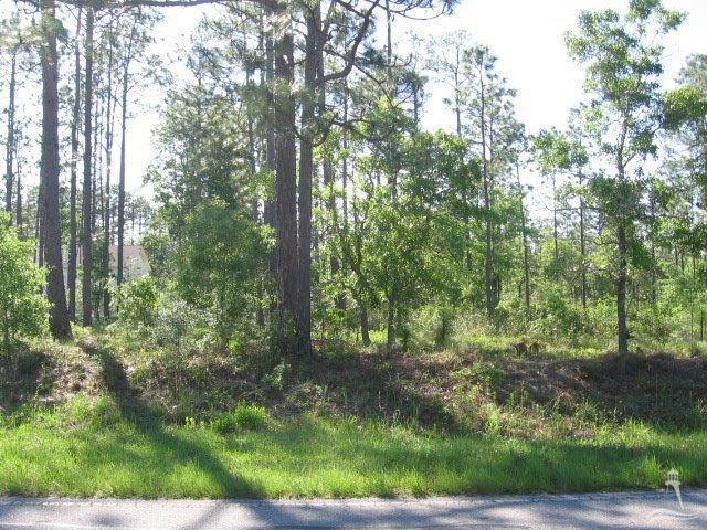 2001 East Boiling Spring Lakes Road Southport, NC 28461 - Photo 2 of 11 Additional Photo