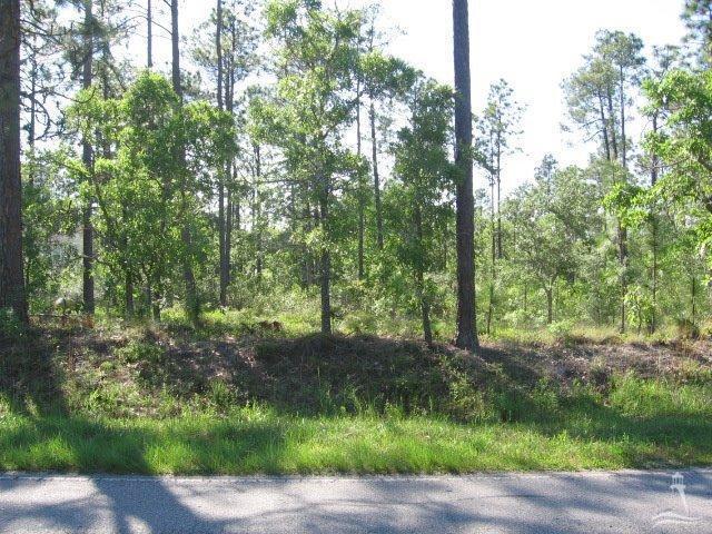2001 East Boiling Spring Lakes Road Southport, NC 28461 - Photo 3 of 11 Additional Photo
