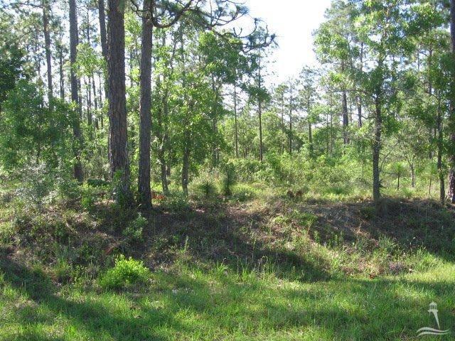 2001 East Boiling Spring Lakes Road Southport, NC 28461 - Photo 4 of 11 Additional Photo