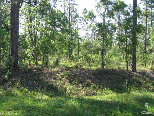 2001 East Boiling Spring Lakes Road Southport, NC 28461 - Photo 5 of 11 Additional Photo