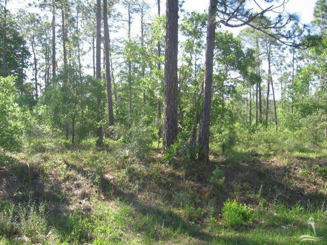 2001 East Boiling Spring Lakes Road Southport, NC 28461 - Photo 6 of 11 Additional Photo