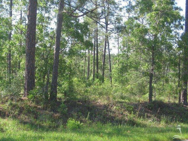 2001 East Boiling Spring Lakes Road Southport, NC 28461 - Photo 7 of 11 Additional Photo