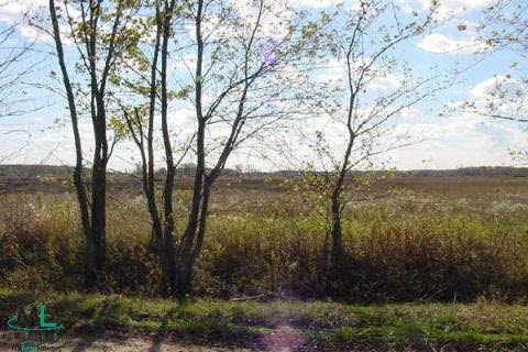 0 Bowers Road Capac, MI 48014 - Photo 2 of 3 909346-1.JPG