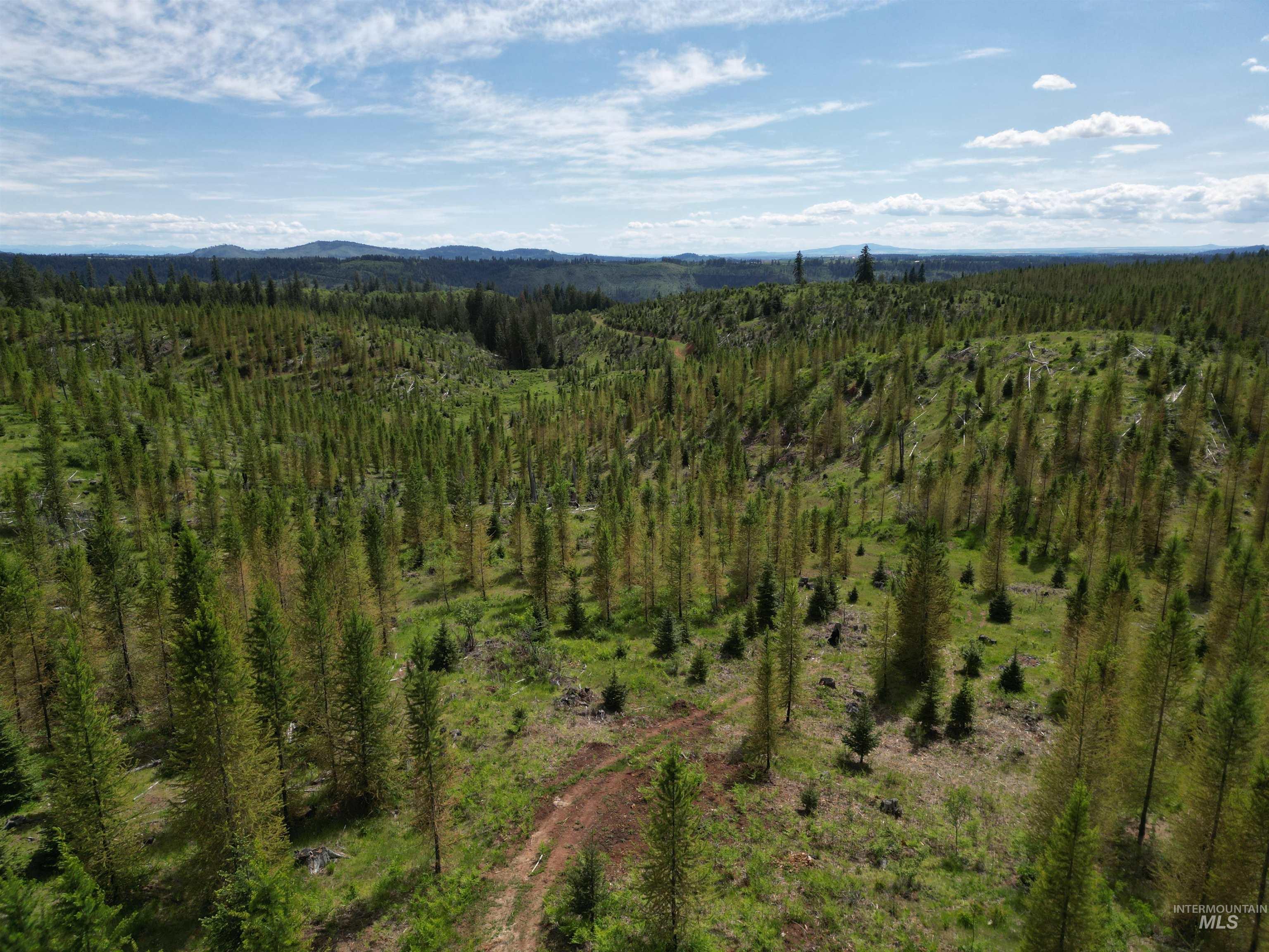 11970 Upper Fords Creek Road Orofino, ID 83544 - Photo 40 of 41