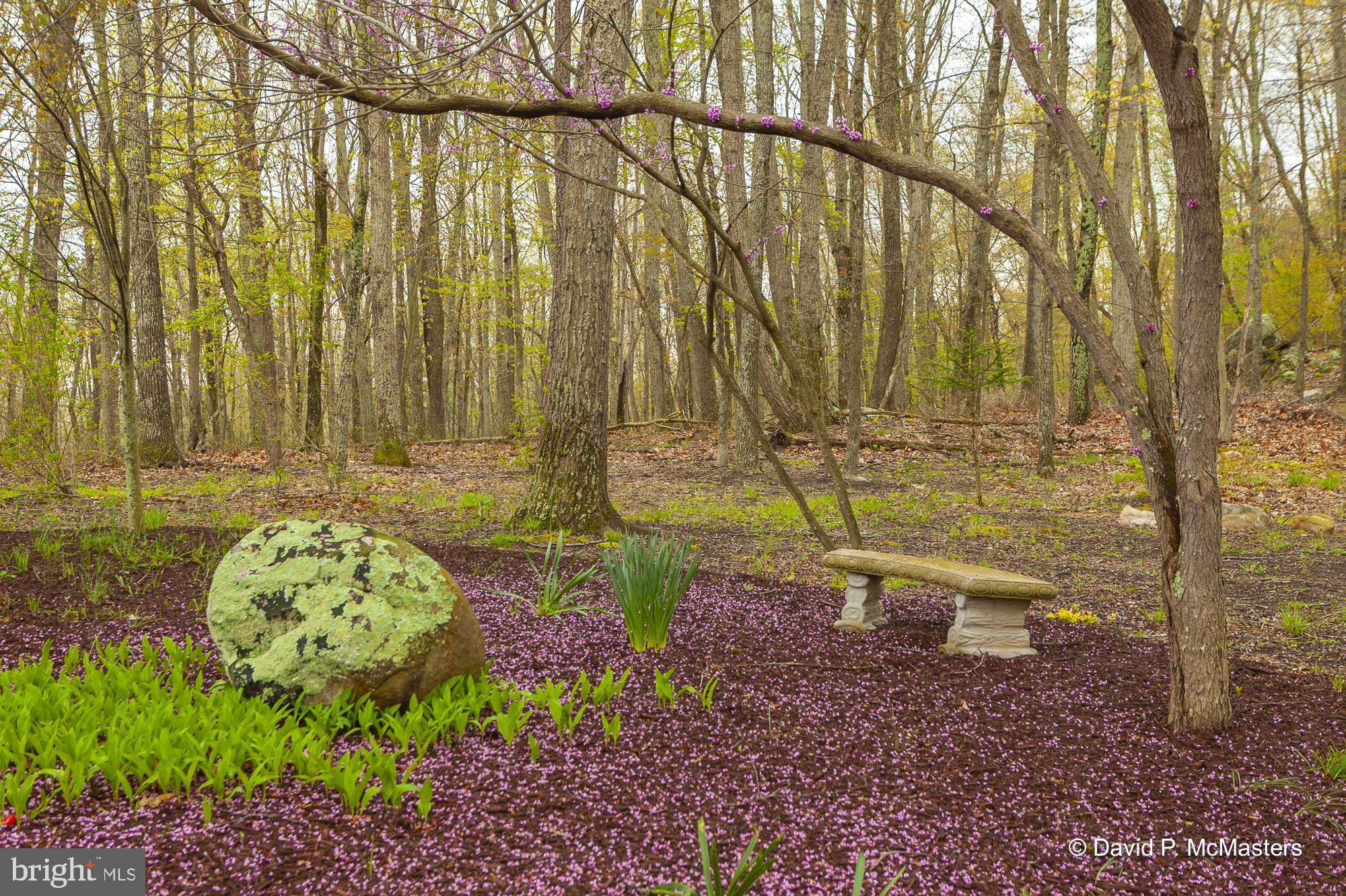 11600 Valley Road Berkeley Springs, WV 25411 - Photo 21 of 113