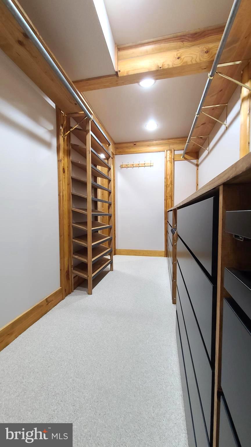 11600 Valley Road Berkeley Springs, WV 25411 - Photo 29 of 113 Walk-in Closet with 2 doors, must see inside.