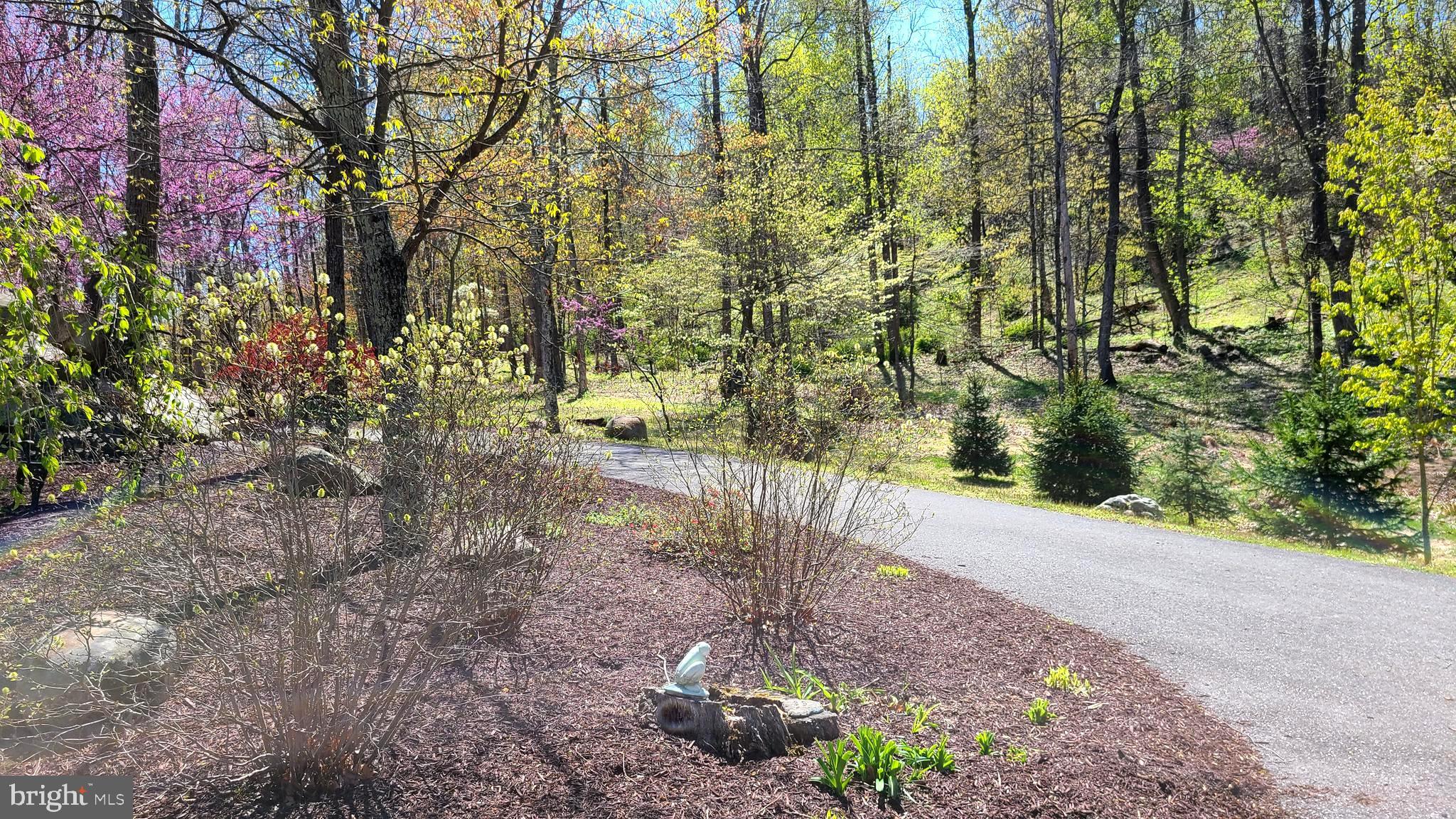 11600 Valley Road Berkeley Springs, WV 25411 - Photo 35 of 113 Landscaped, private, a dream come true in the mts.