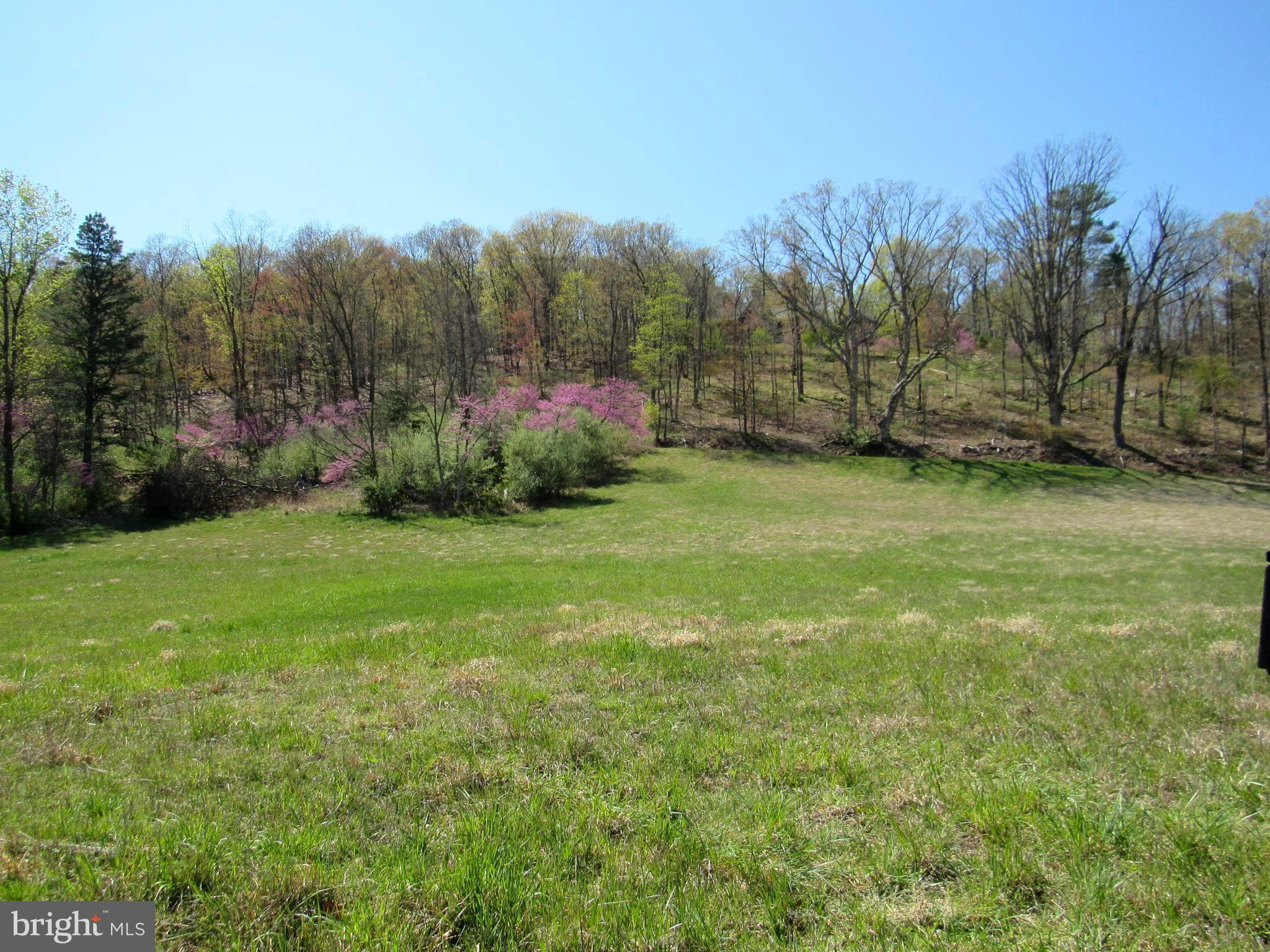 11600 Valley Road Berkeley Springs, WV 25411 - Photo 38 of 113 Lower Field lookup towards the Log House