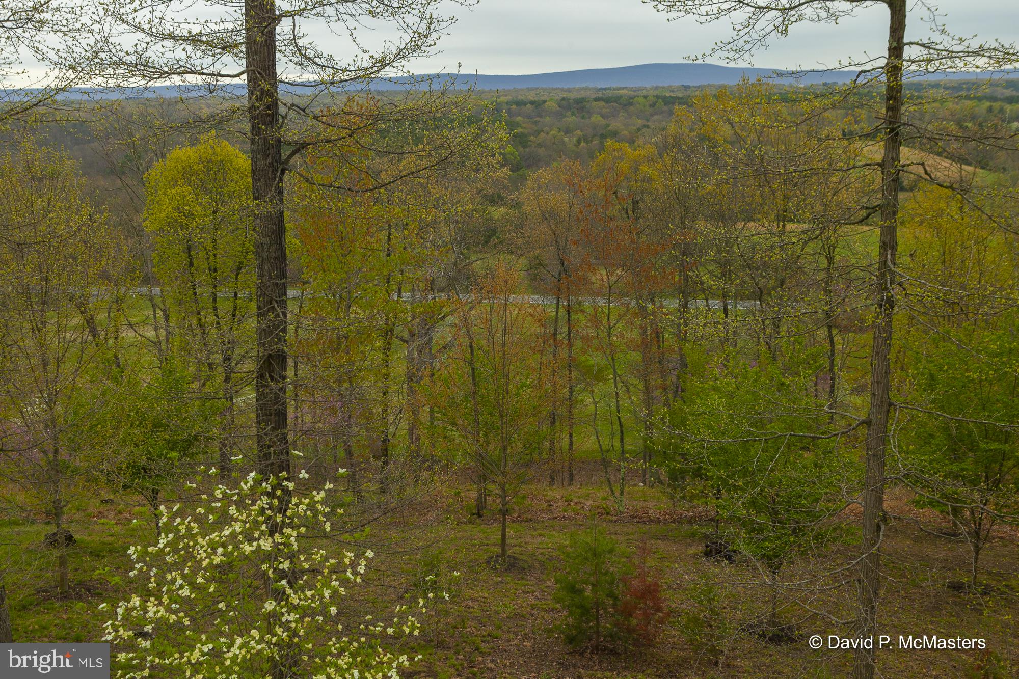 11600 Valley Road Berkeley Springs, WV 25411 - Photo 73 of 113