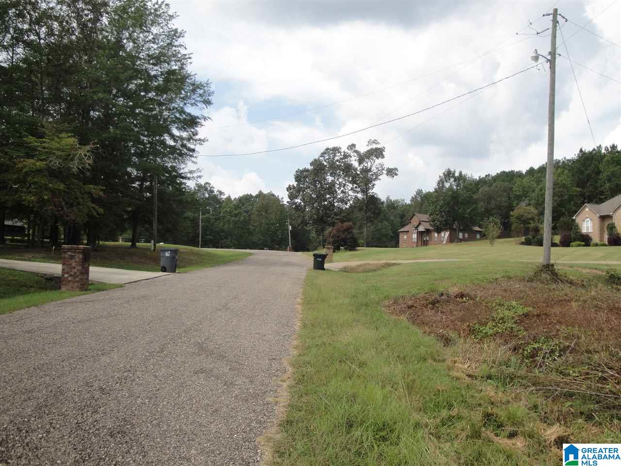 0 Hitching Post Circle, Unit 4 Cropwell, AL 35054 - Photo 3 of 4