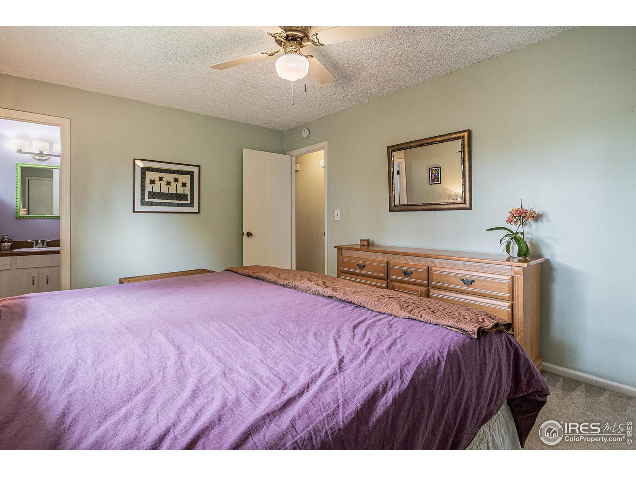 901 Columbia Road Fort Collins, CO 80525 - Photo 11 of 33 Gallery Image 11