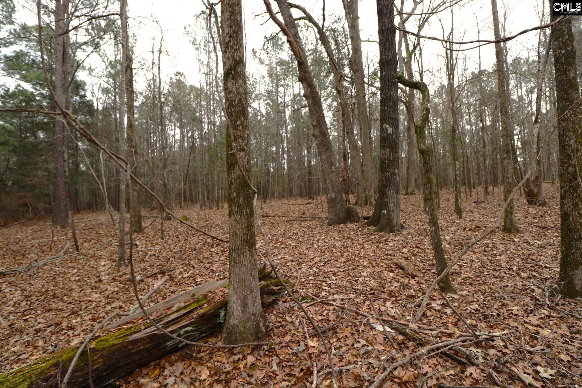 Lot 229 Granny Hill Road Prosperity, SC 29127 - Photo 61 of 61