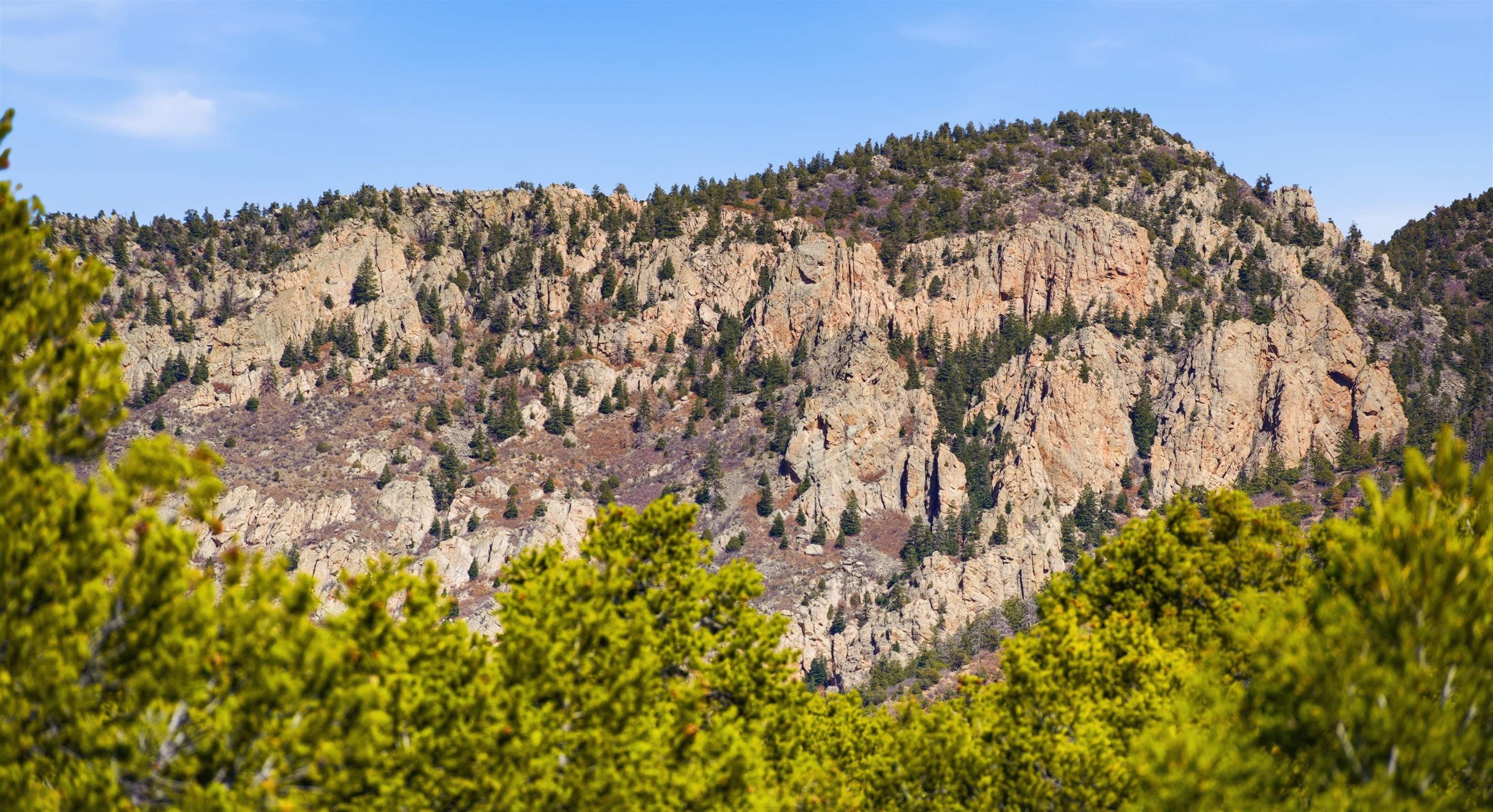 4 Plus Acres Vir Sylvia Road Questa, NM 87556 - Photo 21 of 28 Gallery Image 21