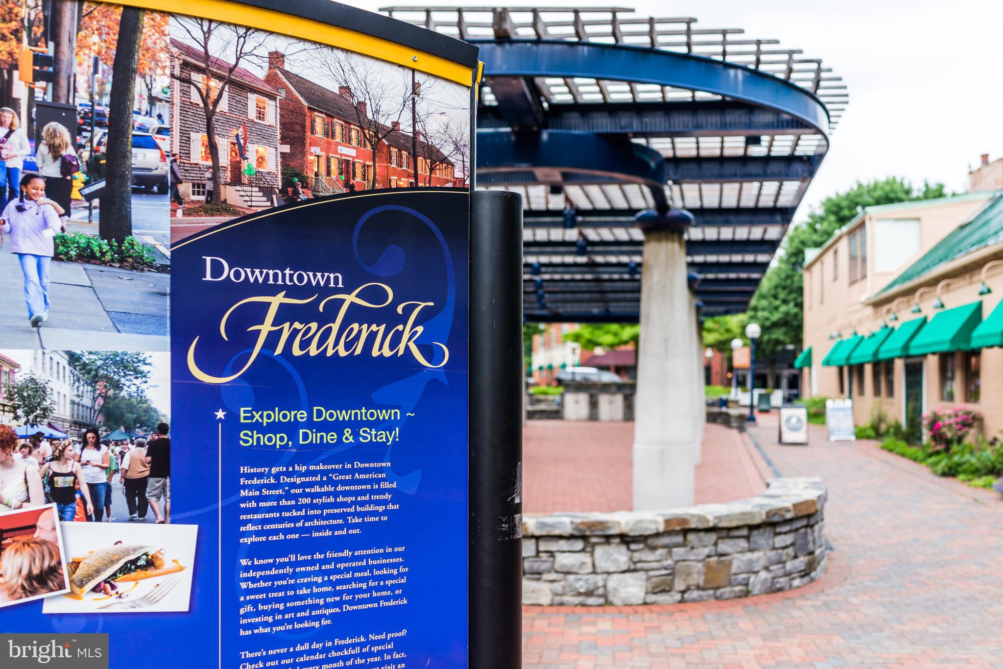 472 Hanson Street Frederick, MD 21701 - Photo 65 of 66