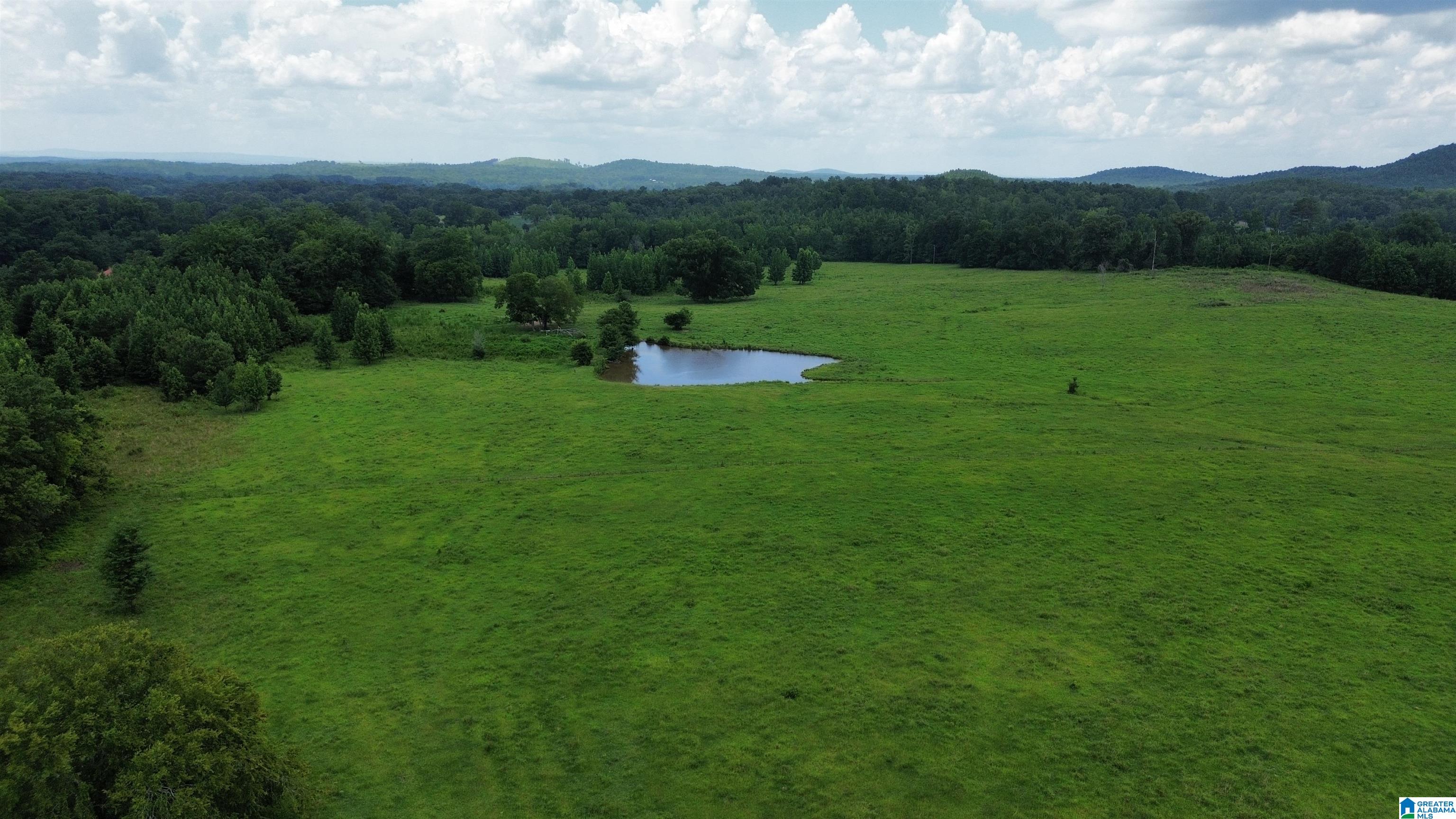 0 Risers Mill Road Alpine, AL 35014 - Photo 9 of 25
