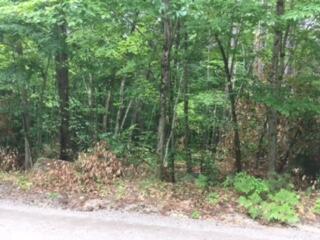 Lot 44 Silvaqua Road Otisfield, ME 04270 - Photo 3 of 9 Lot 44 G