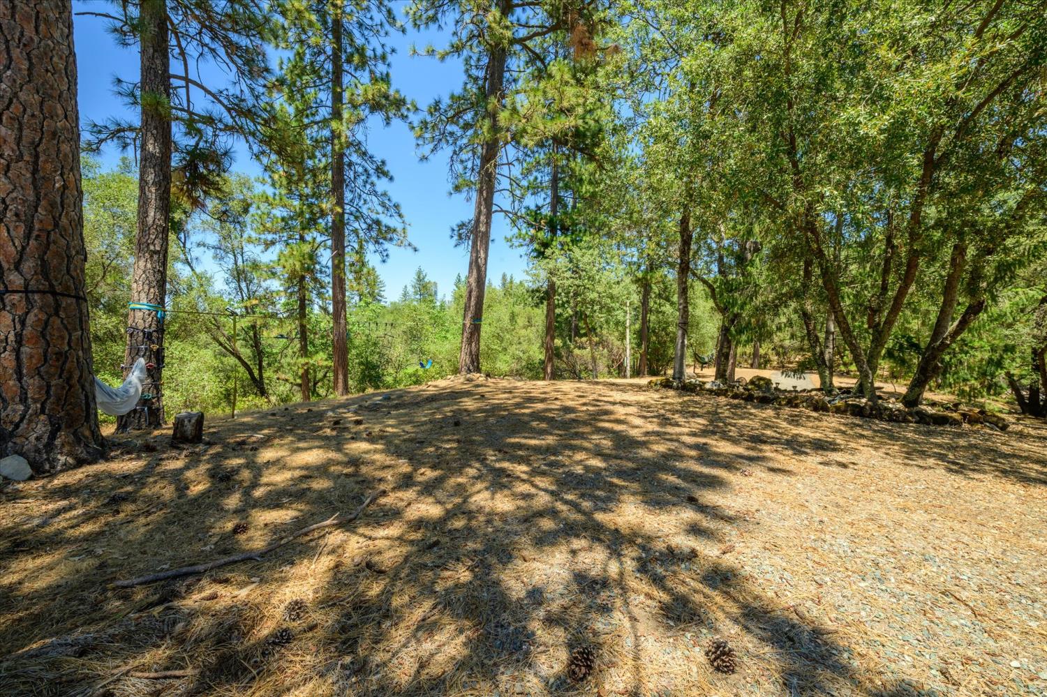 1410 Sand Ridge Road El Dorado, CA 95623 - Photo 35 of 51