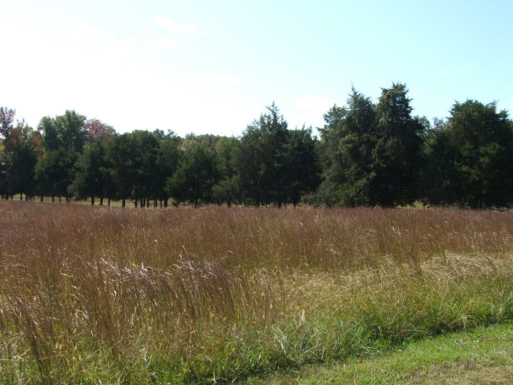 5501 Fort Mitchell Road Chase City, VA 23924 - Photo 12 of 24 Gallery Image 12