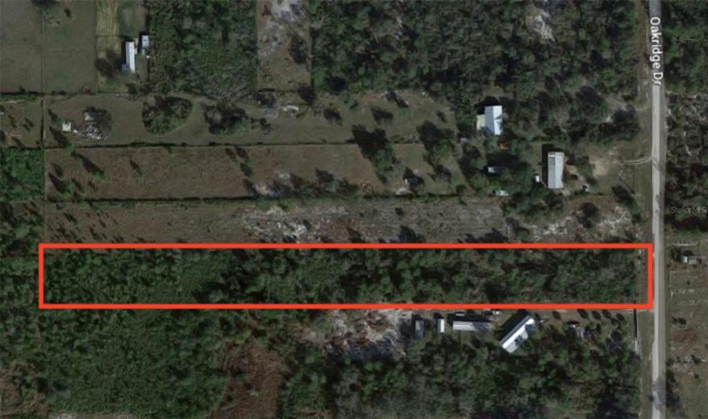 a view of a garden with a lot of flower plants