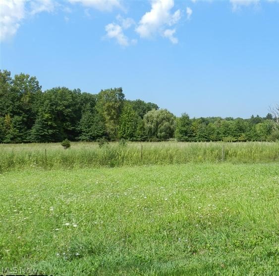 32332-32328 Chestnut Ridge Road North Ridgeville, OH 44039 - Photo 1 of 1 Gallery Image 1