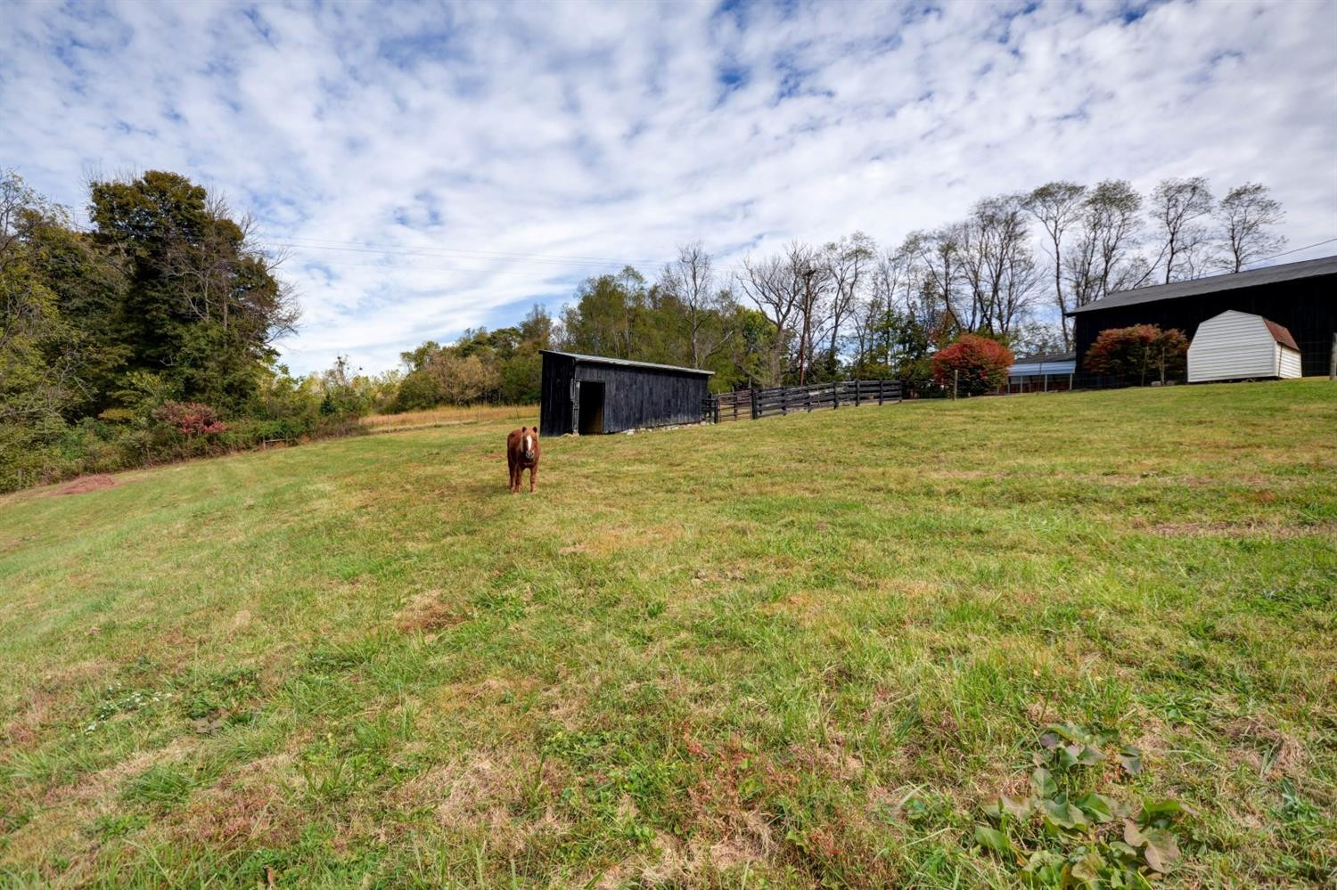 2625 Miller Hunt Road Winchester, KY 40391 - Photo 32 of 44 Listing Photo