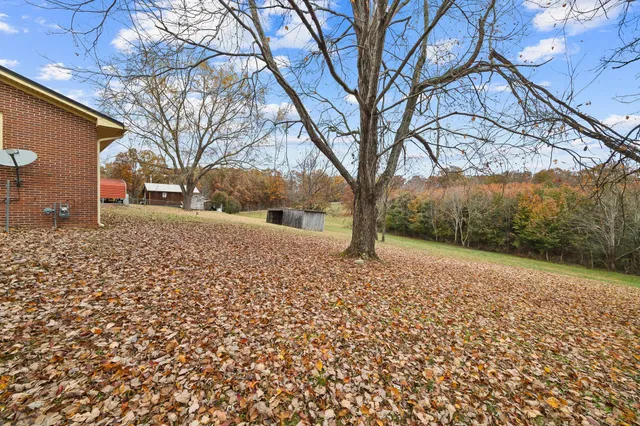 a view of lake with mountain