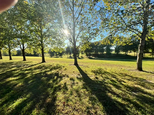 a view of a field with of trees