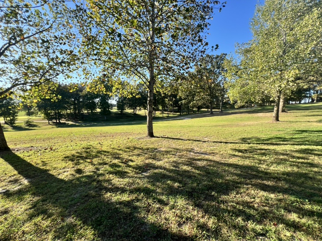 948 North Brace Road Summertown, TN 38483 - Photo 47 of 59 a view of an ocean beach