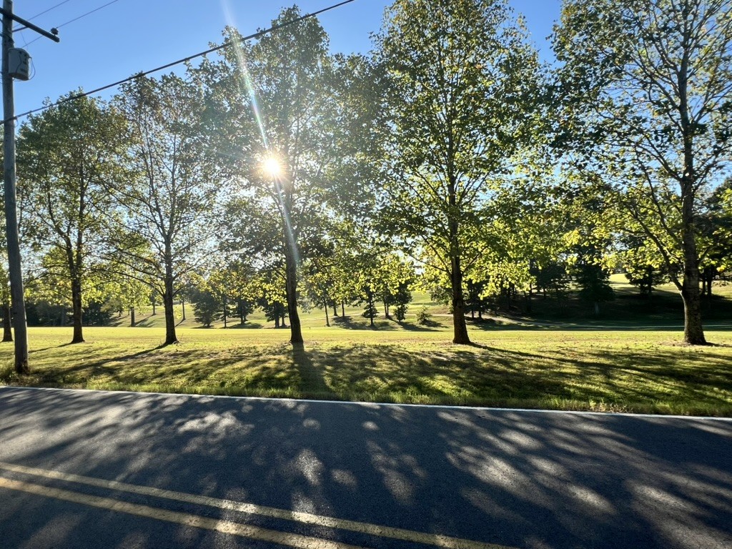 948 North Brace Road Summertown, TN 38483 - Photo 50 of 59 a view of a yard with a house