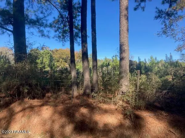 $101,000 | 0 Landry Lane, Eunice, LA 70535