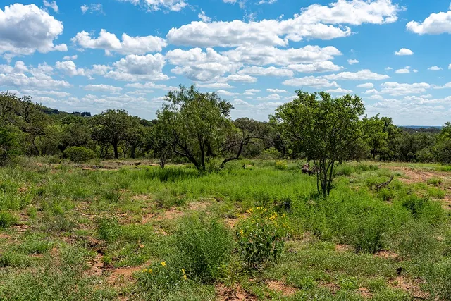 a view of a green field with lots of bushes