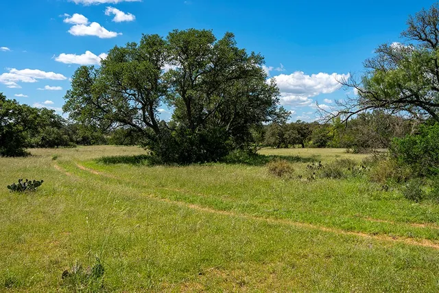 a view of yard with green space