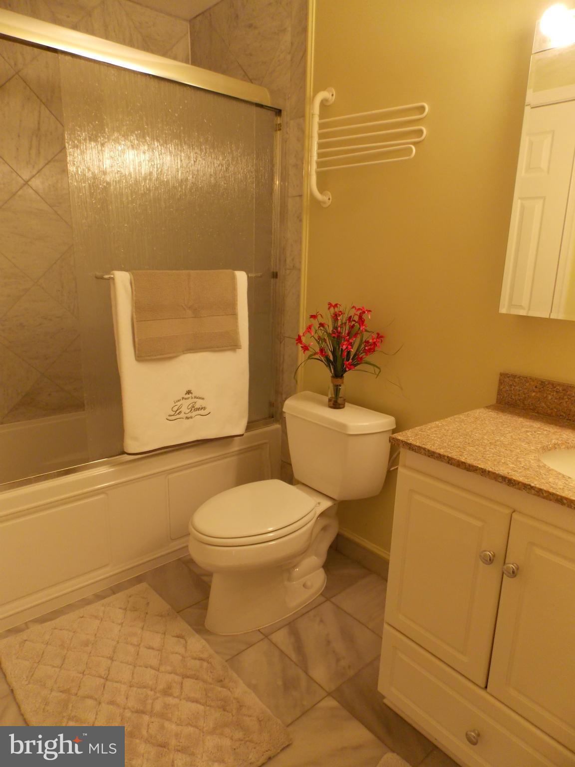 9415 Monroe Street Silver Spring, MD 20910 - Photo 14 of 30 Bathroom #1
