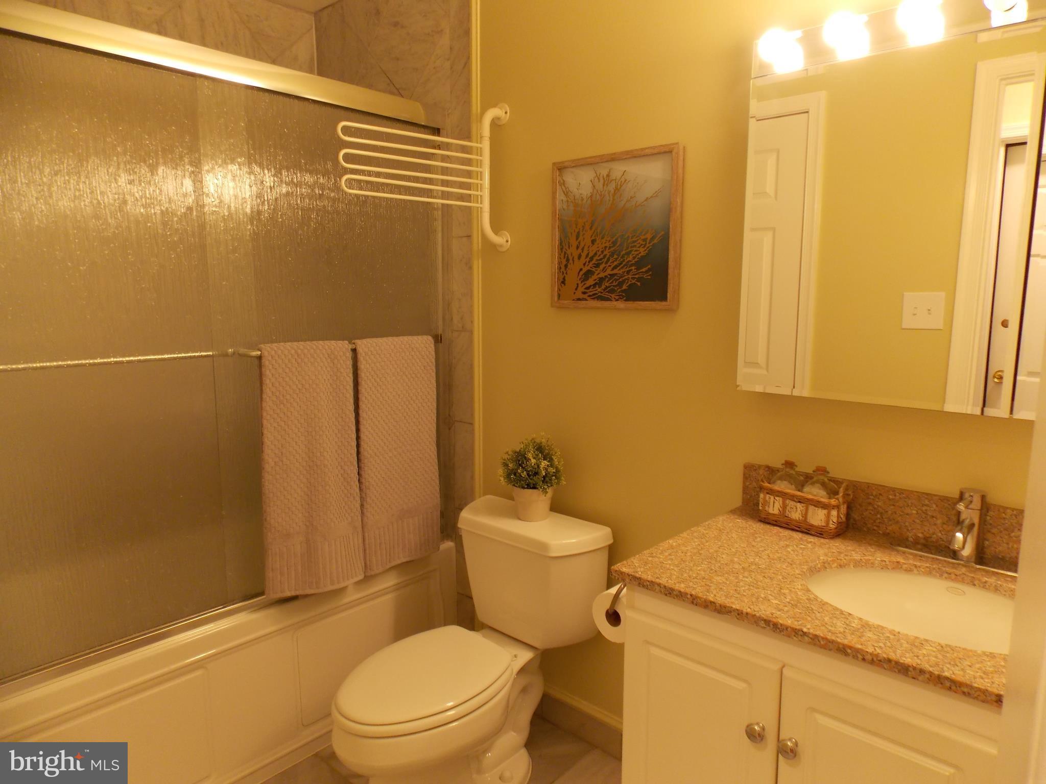 9415 Monroe Street Silver Spring, MD 20910 - Photo 15 of 30 Bathroom #1 on main level
