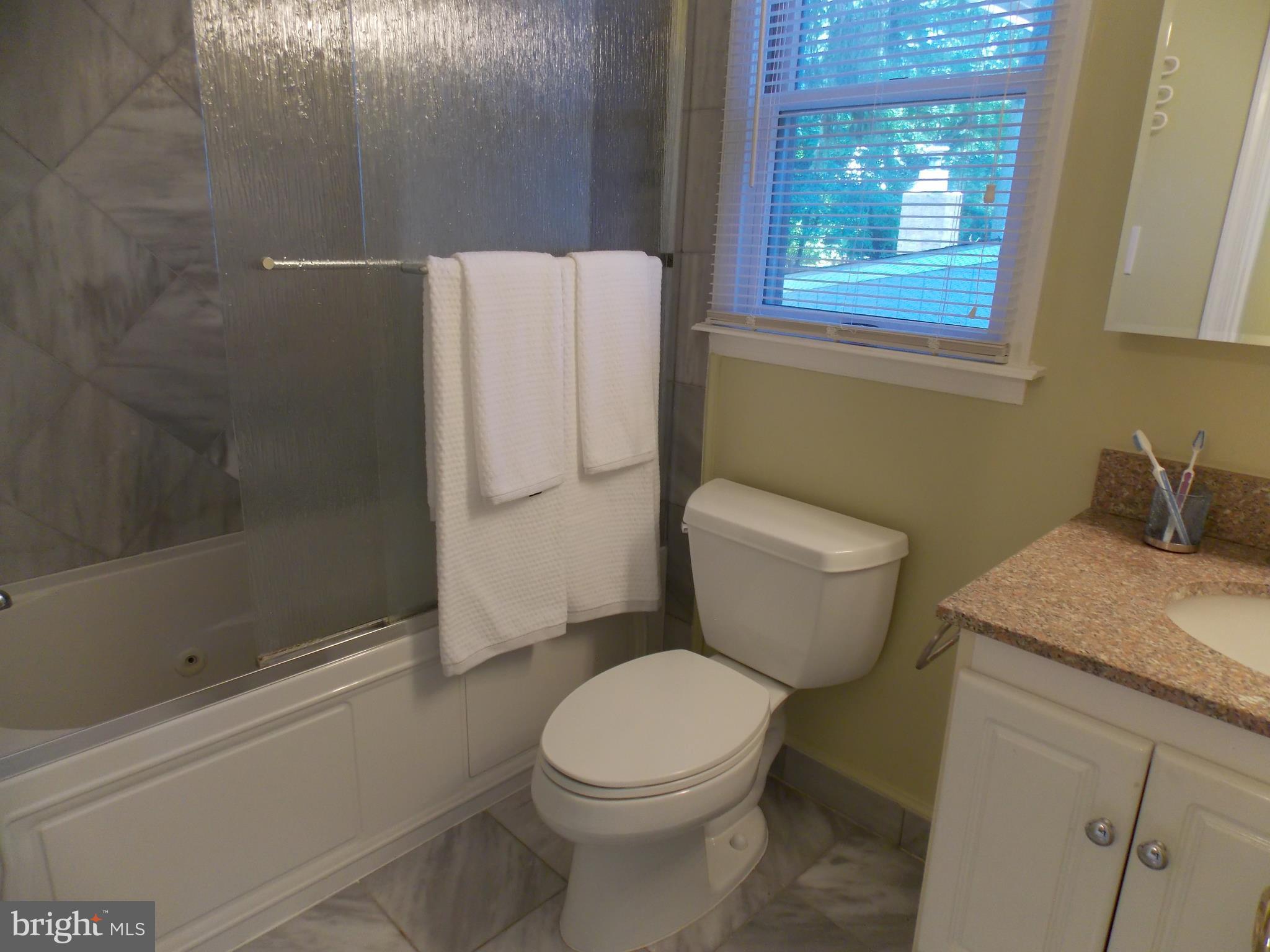 9415 Monroe Street Silver Spring, MD 20910 - Photo 18 of 30 Bathroom #2