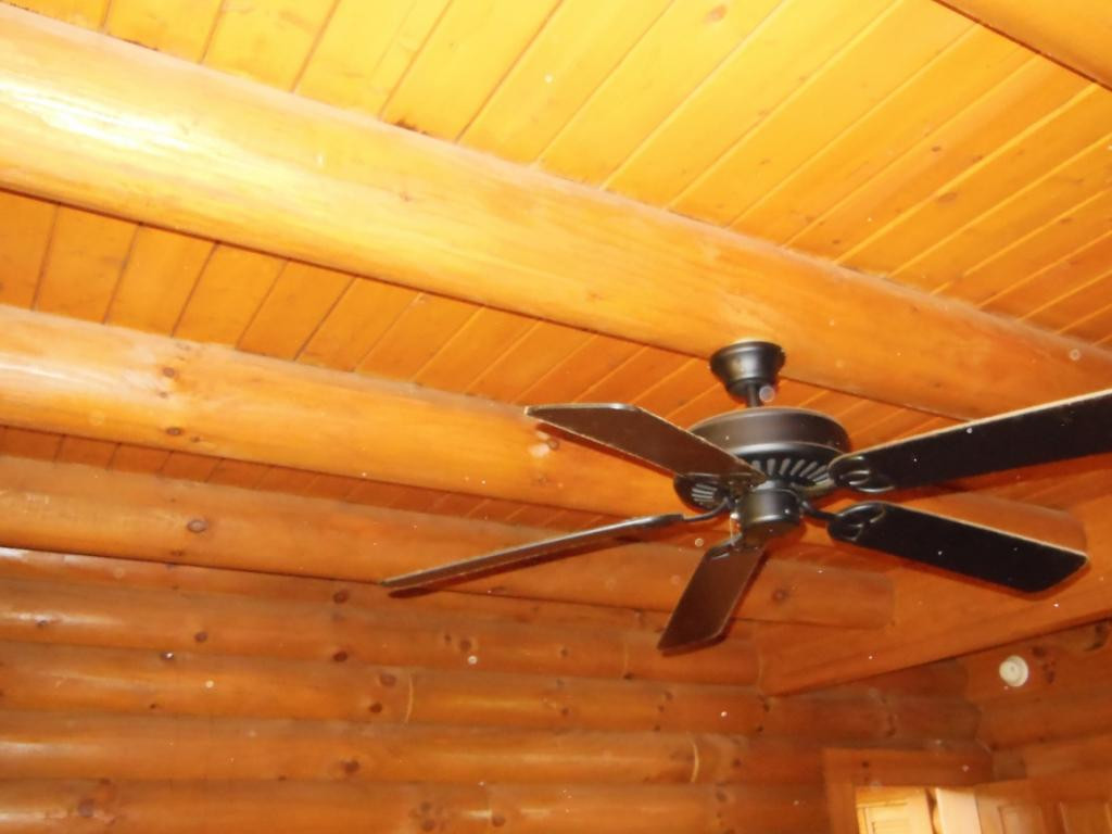 1202 May's Rdg Road Butler, TN 37640 - Photo 25 of 29 Wood ceilings nice details