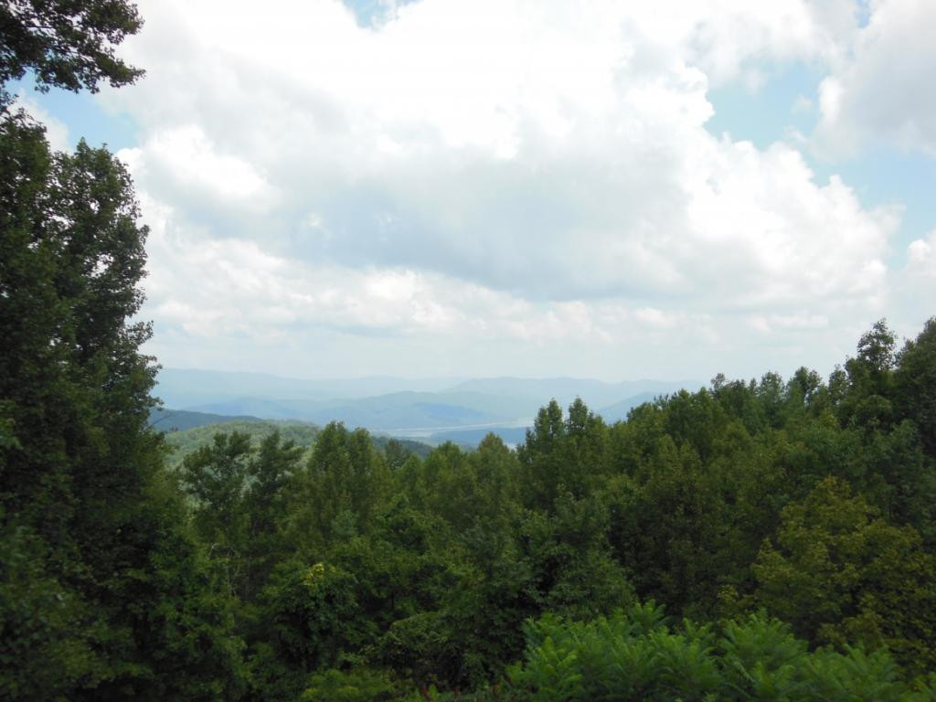 1202 May's Rdg Road Butler, TN 37640 - Photo 29 of 29 Come home to this View