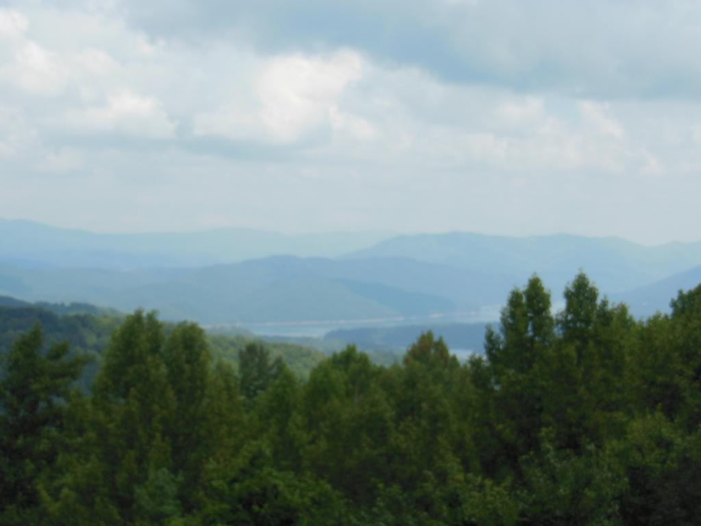 1202 May's Rdg Road Butler, TN 37640 - Photo 8 of 29 Enjoy your views