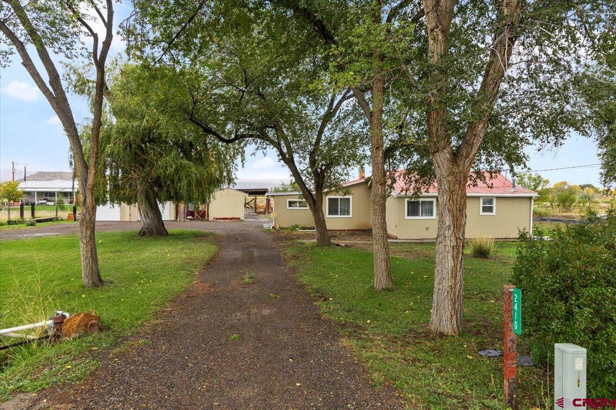 2410 6450th Road Montrose, CO 81401 - Photo 16 of 23 a view of a park with large trees