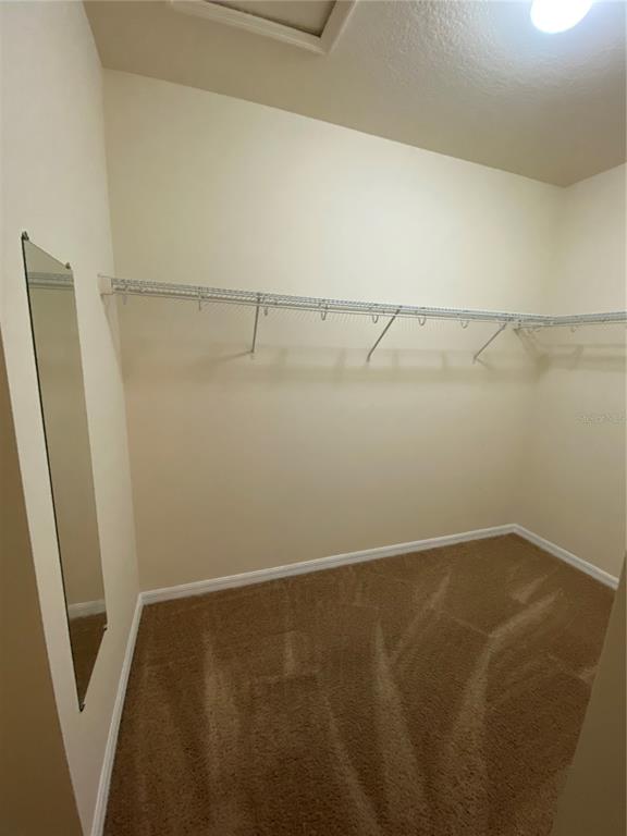 1772 Marsh Palm Parkway Ocoee, FL 34761 - Photo 19 of 29 a view of small space